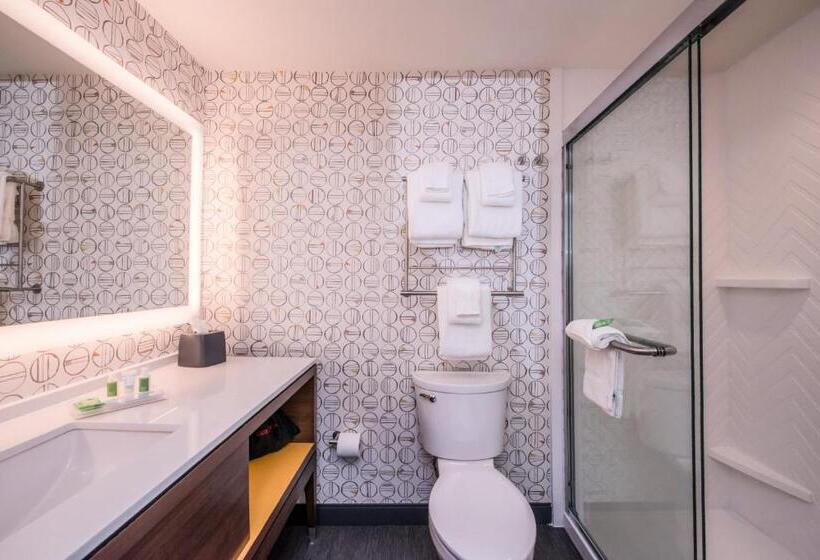 ホテル Holiday Inn Detroit Northwest   Livonia, An Ihg