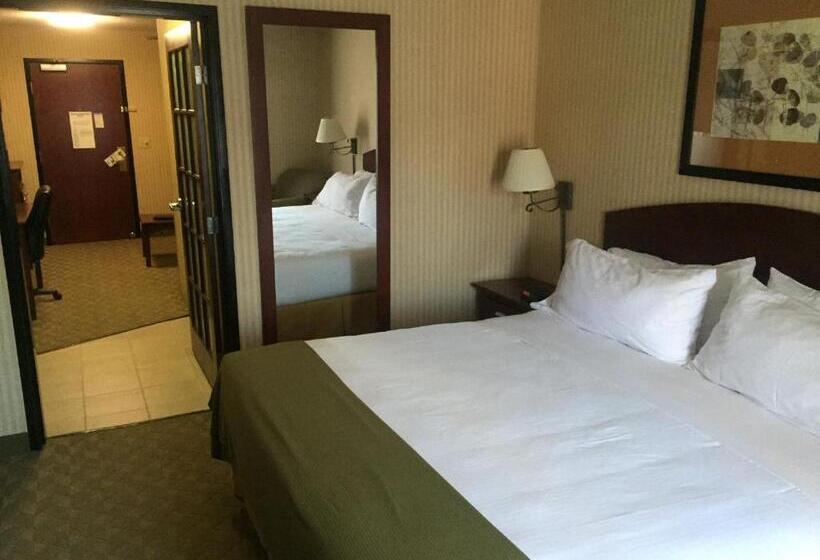 فندق Holiday Inn Express  & Suites Lansingleavenworth