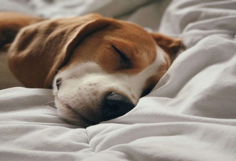 ホテル Holiday Inn Express Spokane Valley, An Ihg