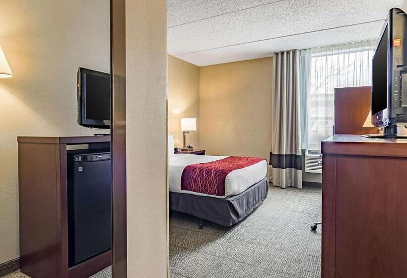 هتل Fairfield By Marriott Inn & Suites Madison South