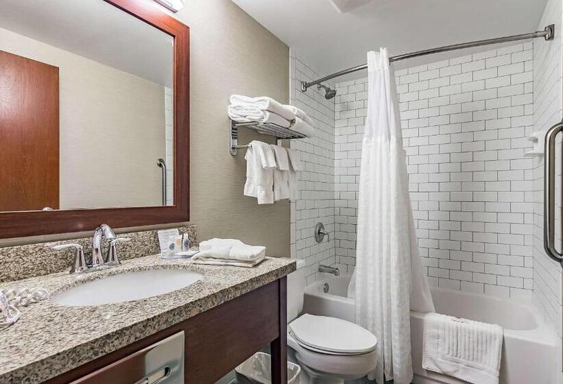 هتل Fairfield By Marriott Inn & Suites Madison South