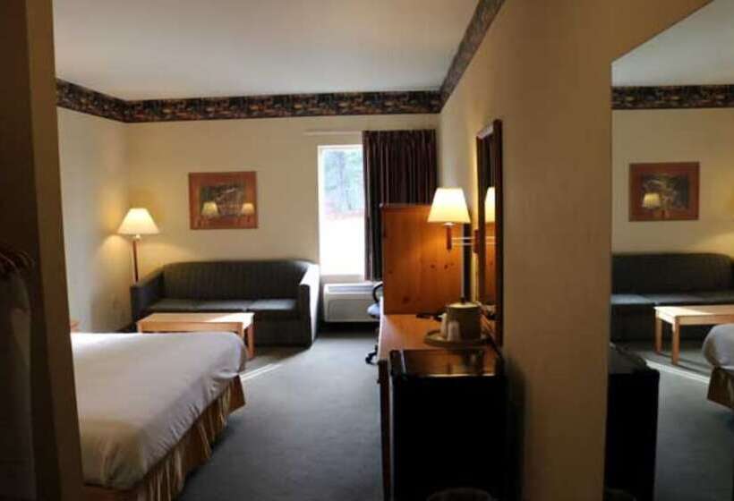 فندق Pellston Lodge