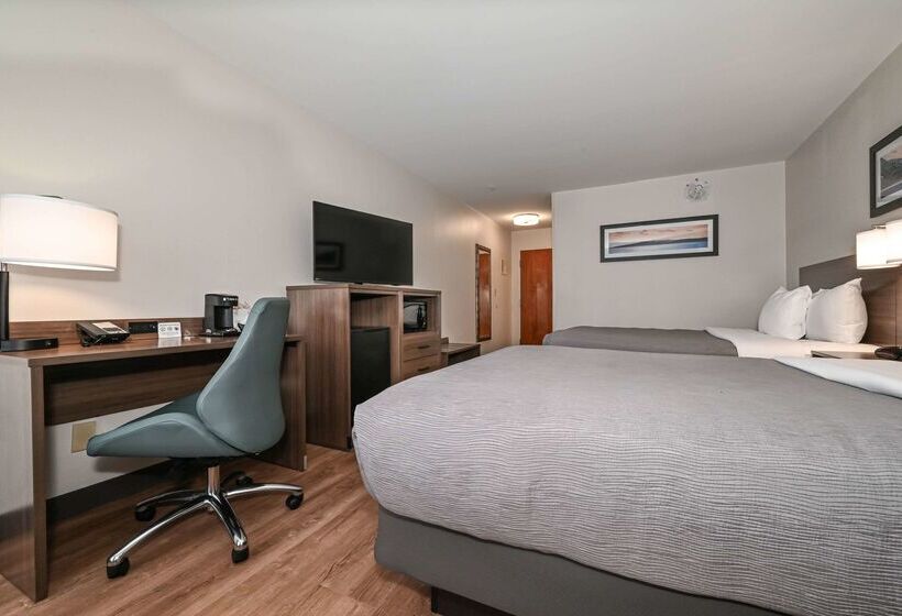 ホテル Quality Inn & Suites Matthews   Charlotte