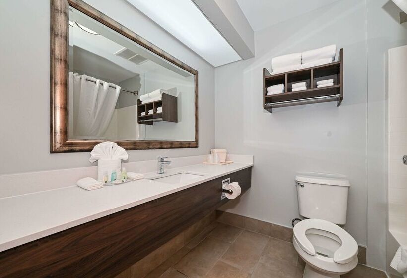 ホテル Quality Inn & Suites Matthews   Charlotte
