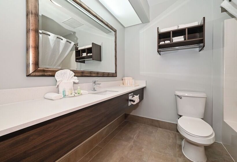 ホテル Quality Inn & Suites Matthews   Charlotte