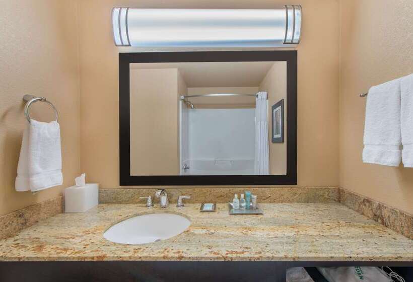 Wyndham Garden Oklahoma City Hotel & Conference Ctr Near Airport, Fairgrounds Paycom & I40