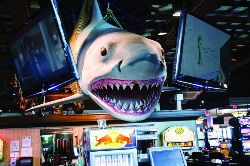 منتجع Hollywood Casino Tunica