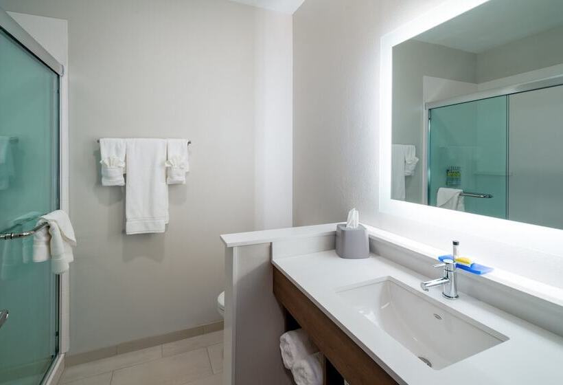 酒店 Holiday Inn Express & Suites   St Peters, An Ihg