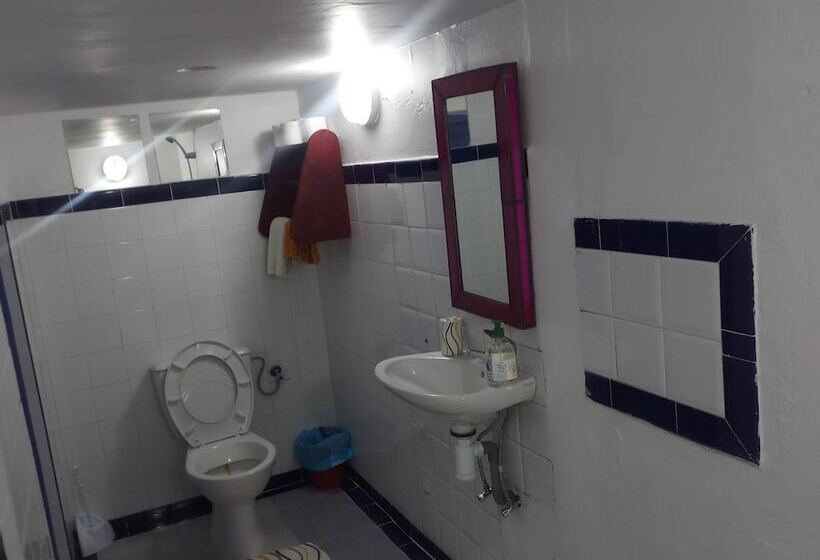 پانسیون The Spot