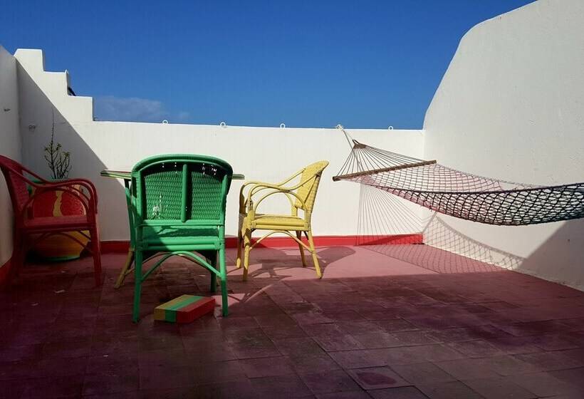 پانسیون The Spot