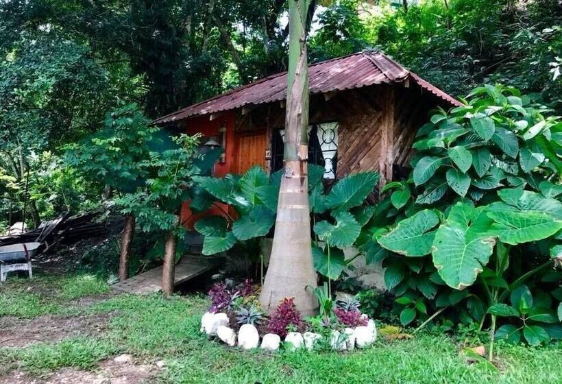 هتل Cabañas Y Casas Del árbol La Huerta