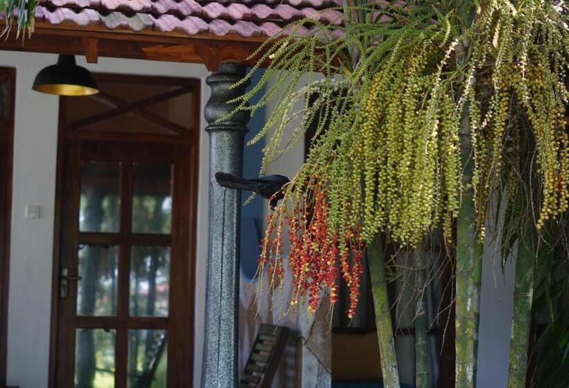 Hotel Turtle Bay Beach Resort