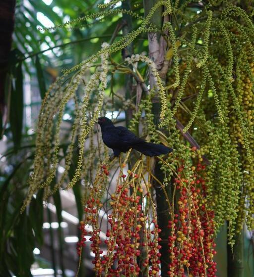 Hotel Turtle Bay Beach Resort