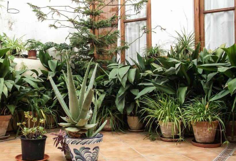 Pensión Ciudad Navarro Ramos