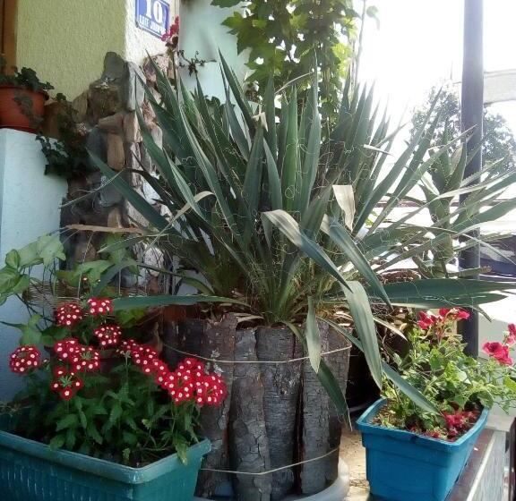 پانسیون Malgo