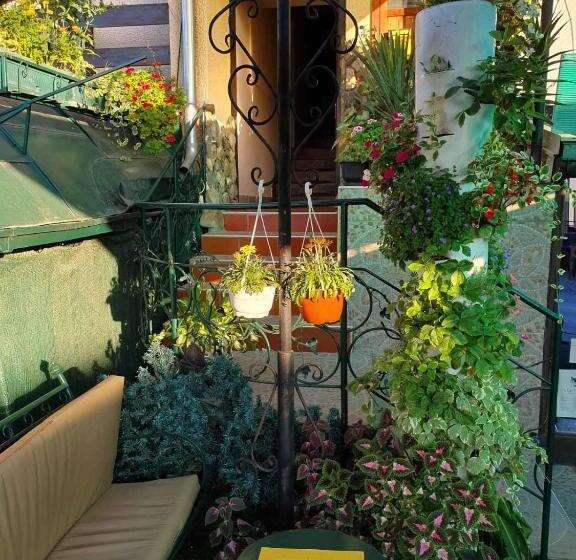 پانسیون Malgo