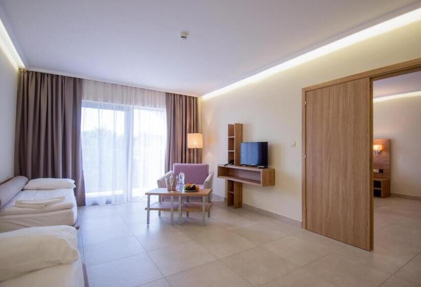 Belvedere Hotel   All Inclusive