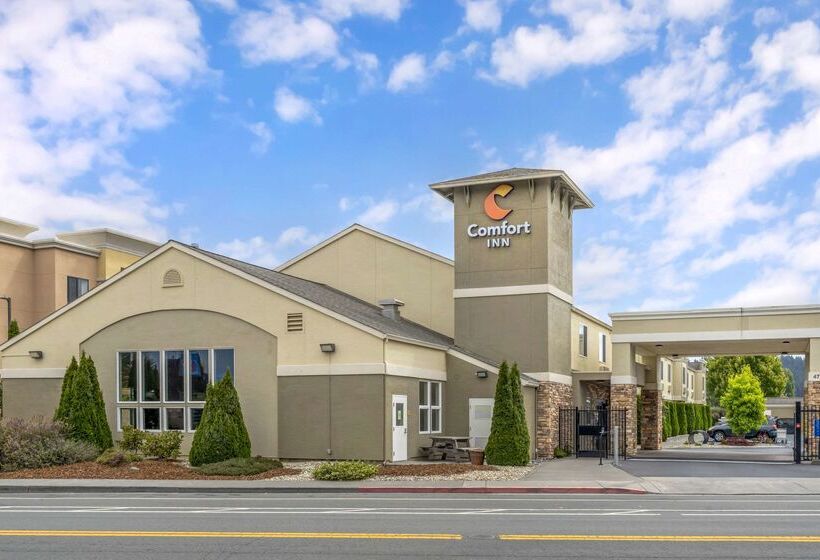فندق Comfort Inn Arcata
