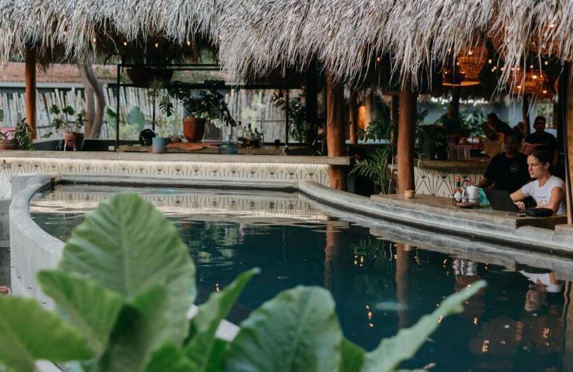 هاستل The Space Jungle Oasis
