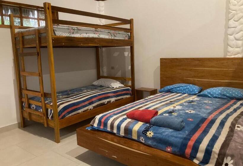 هتل La Costa International