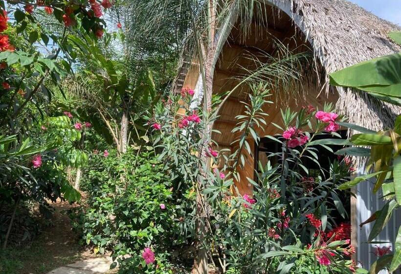 هتل La Costa International