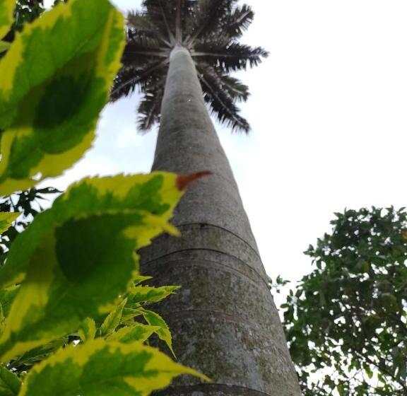 پانسیون Hostal Bremen