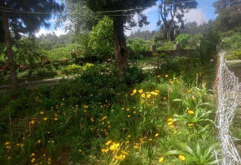 هتل Bruton Resorts