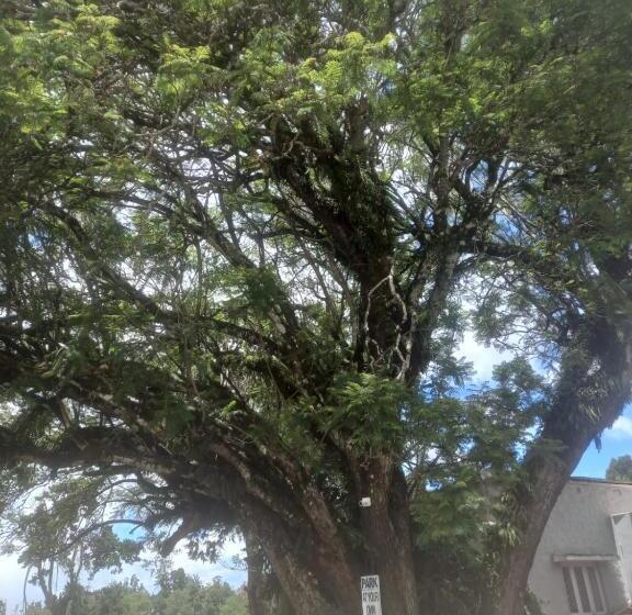 هتل Bruton Resorts