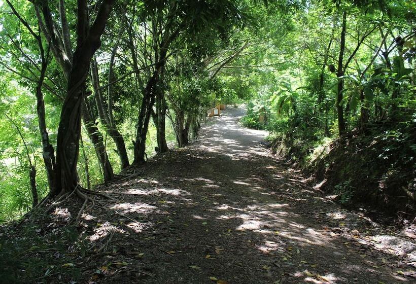 هتل Nature Lodge Finca Los Caballos