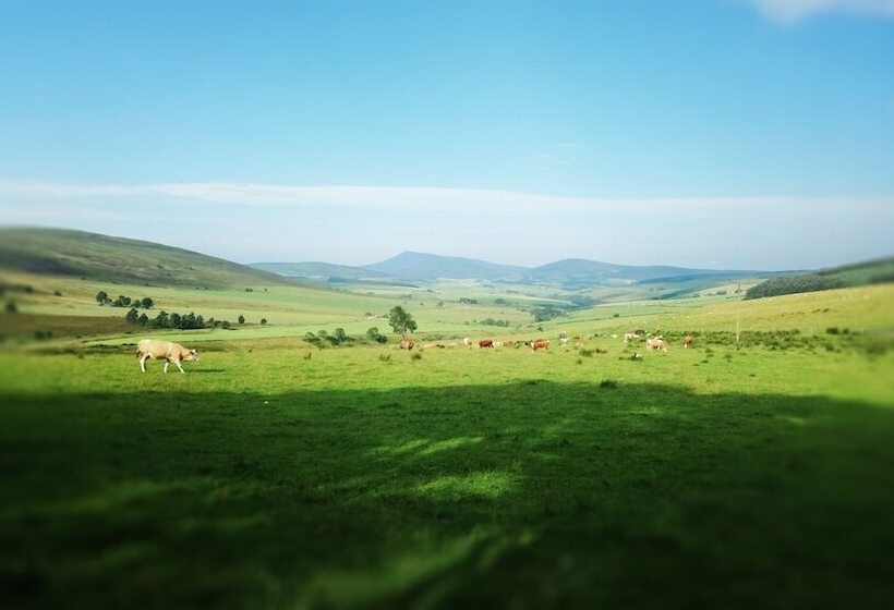 Little Robin Bed And Breakfast