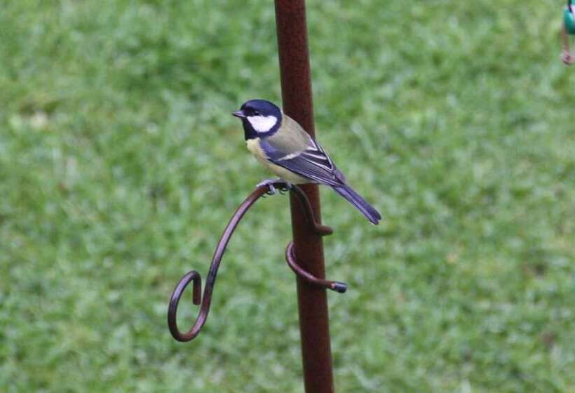 Riverfield Bed And Breakfast