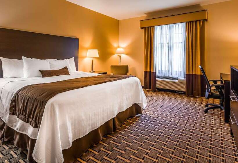 فندق Best Western Plus The Inn & Suites At The Falls