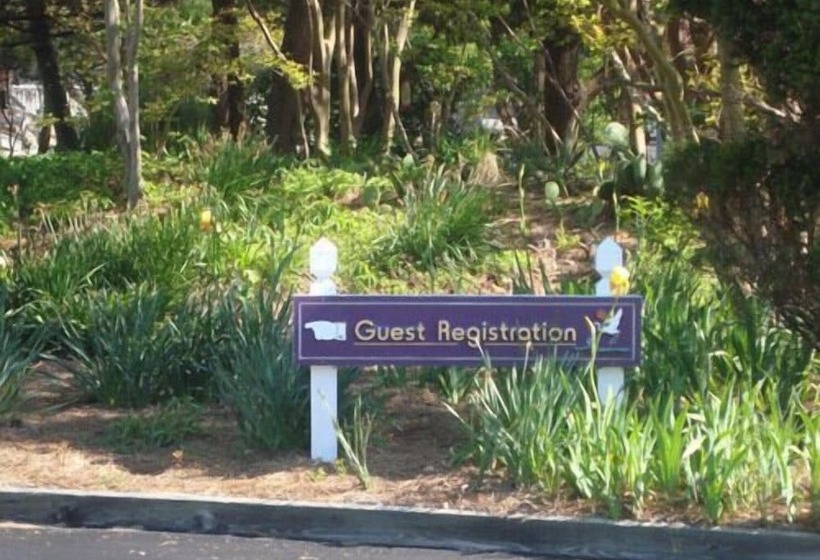 فندق Island Resort