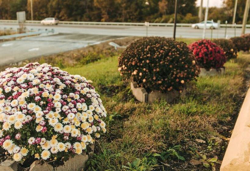 فندق Knights Inn Berea