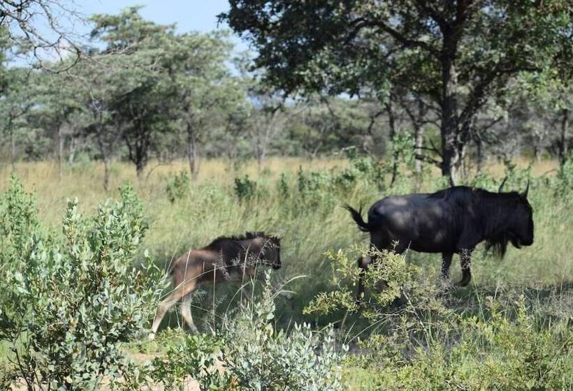 فندق Zangarna Game Lodge