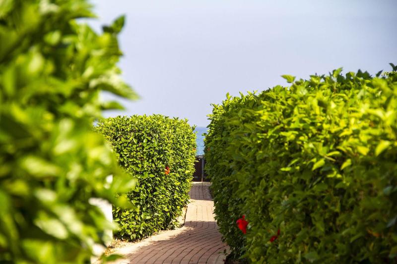 Atlantis Gardens