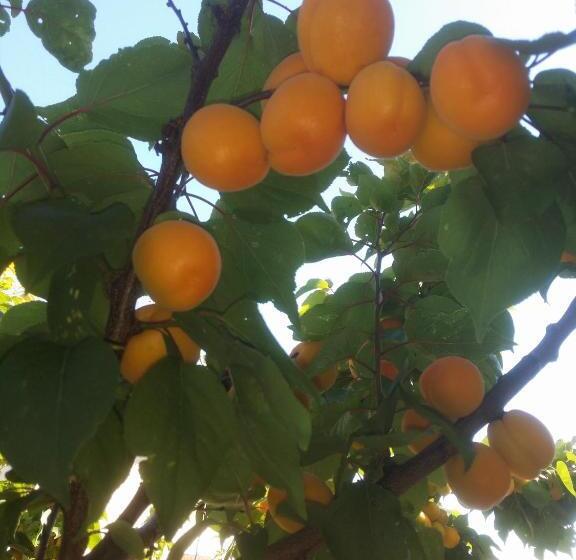 ベッドアンドブレックファースト Chambres D Hôtes Anne Marie