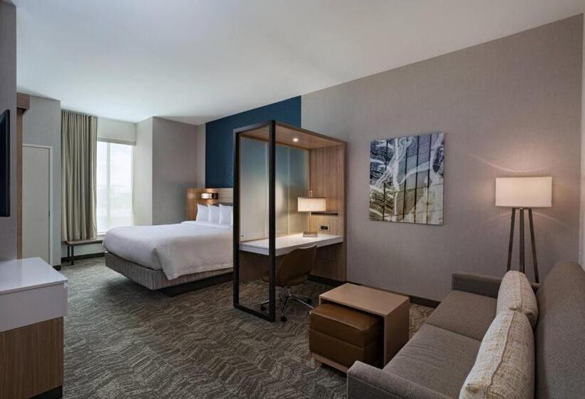 فندق Springhill Suites Waco