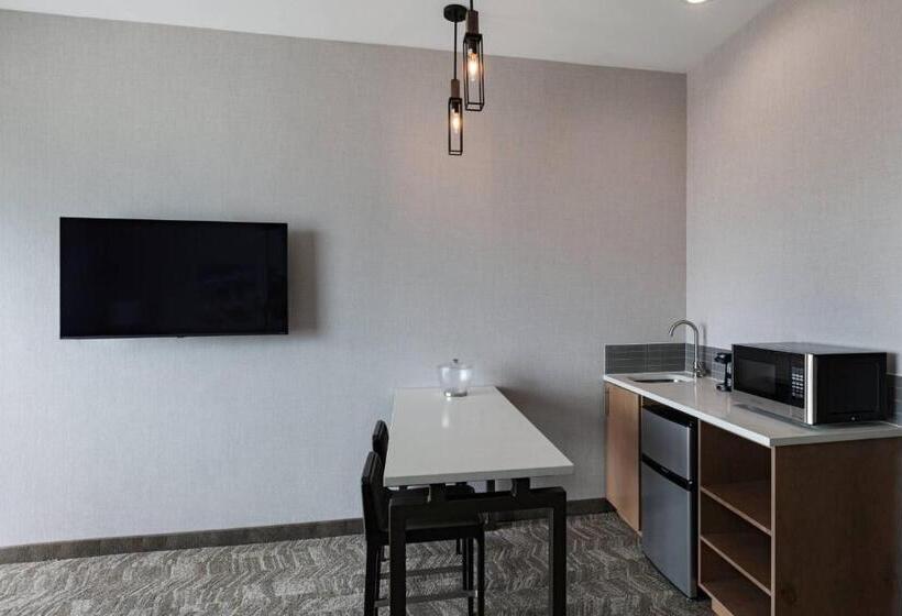 فندق Springhill Suites Waco