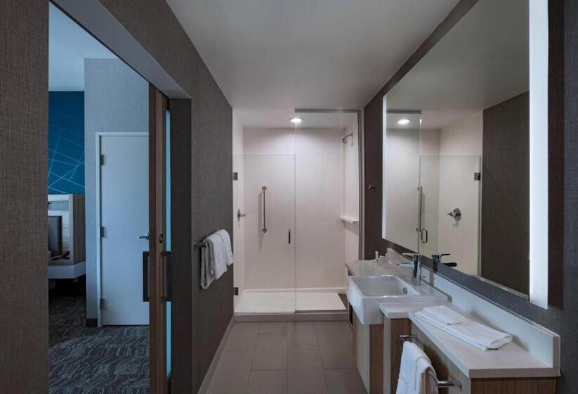 فندق Springhill Suites Waco