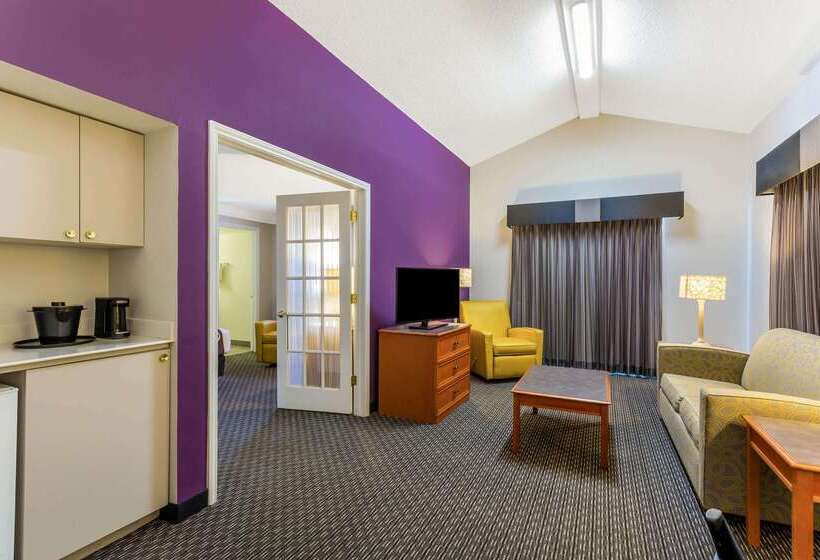 هتل La Quinta Inn By Wyndham Odessa