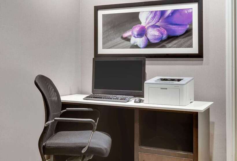 هتل La Quinta By Wyndham Dallas   Addison Galleria