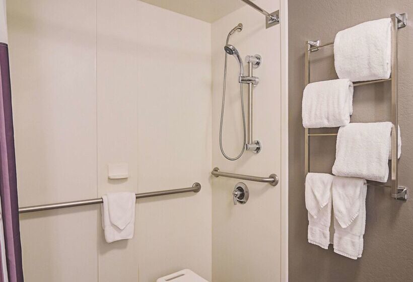هتل La Quinta By Wyndham Denver Airport Dia