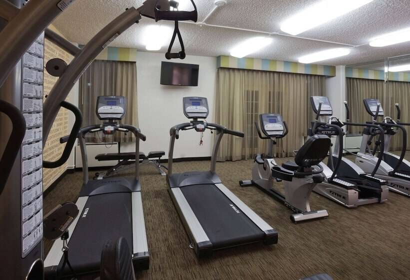 בית מלון כפרי La Quinta By Wyndham Houston Stafford Sugarland