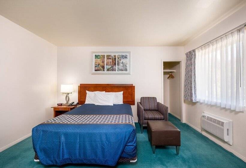 בית מלון כפרי Riverview Lodge