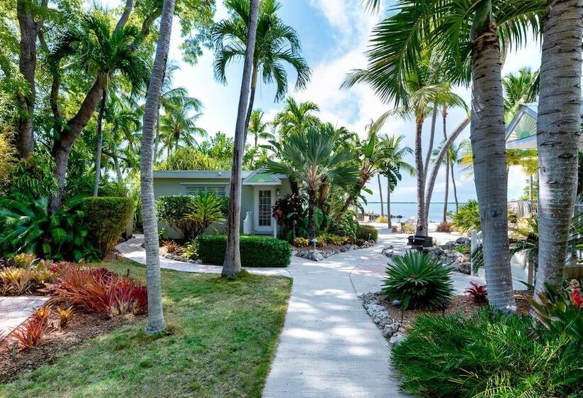 Kona Kai Resort And Gallery