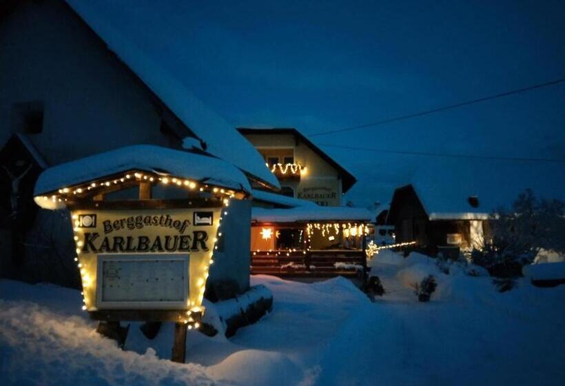 بنسيون Berggasthof Karlbauer