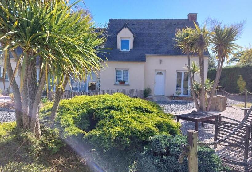 ベッドアンドブレックファースト Chambres D Hôtes Chez L Habitant   Bed& Breakfast Homestay