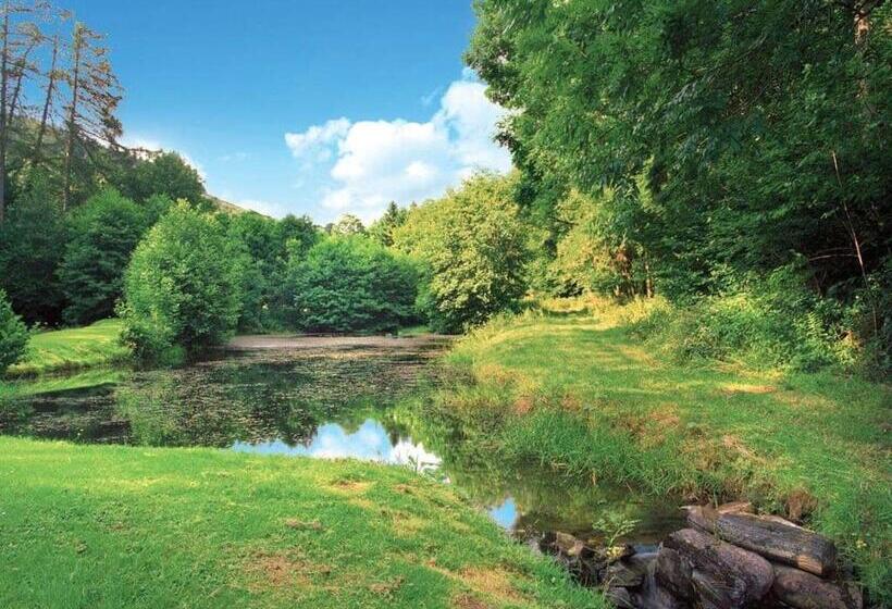 리조트 Penvale Lakes Lodges