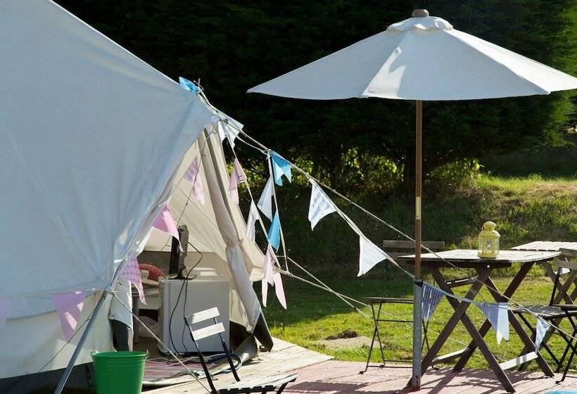 אתר נופש Whitecliff Bay Holiday Park